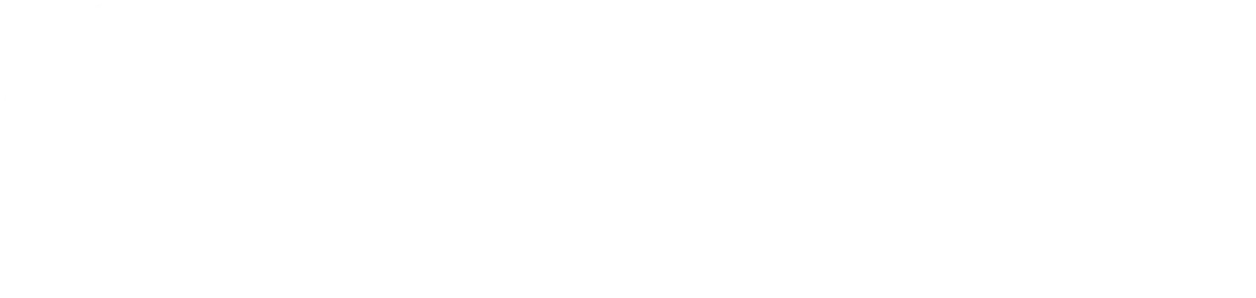 CapitalFJ